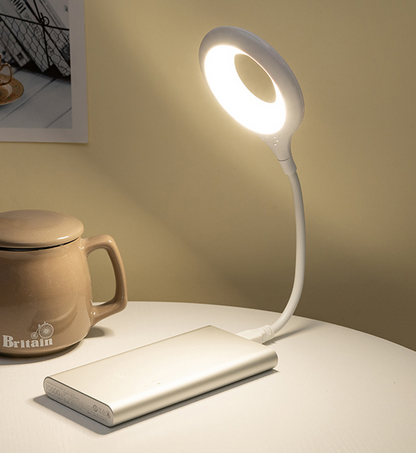 Smart Voice Control USB Light